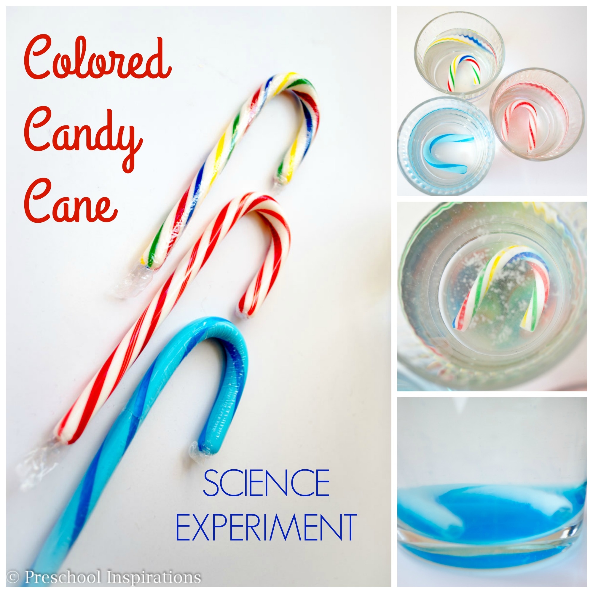 Colored Candy Canes Science Experiment Preschool Inspirations Colored Candy Canes Science Experiment Preschool Inspirations