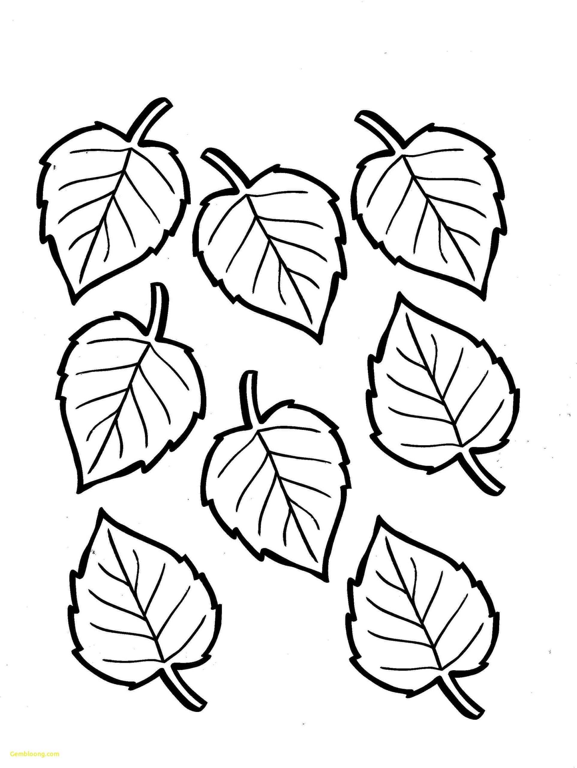 Fall Preschool Coloring Page