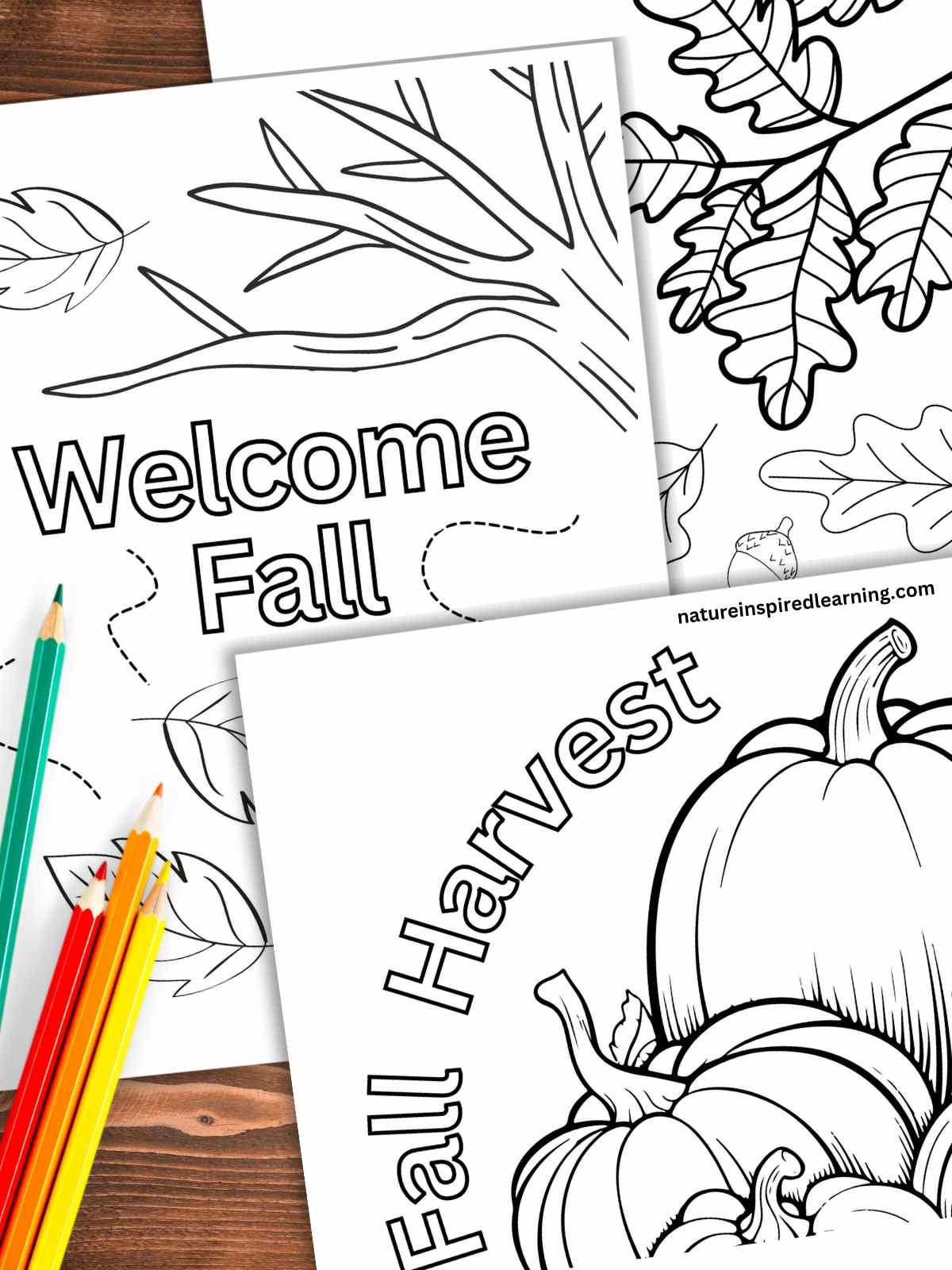 Fall Coloring Pages Nature Inspired Learning
