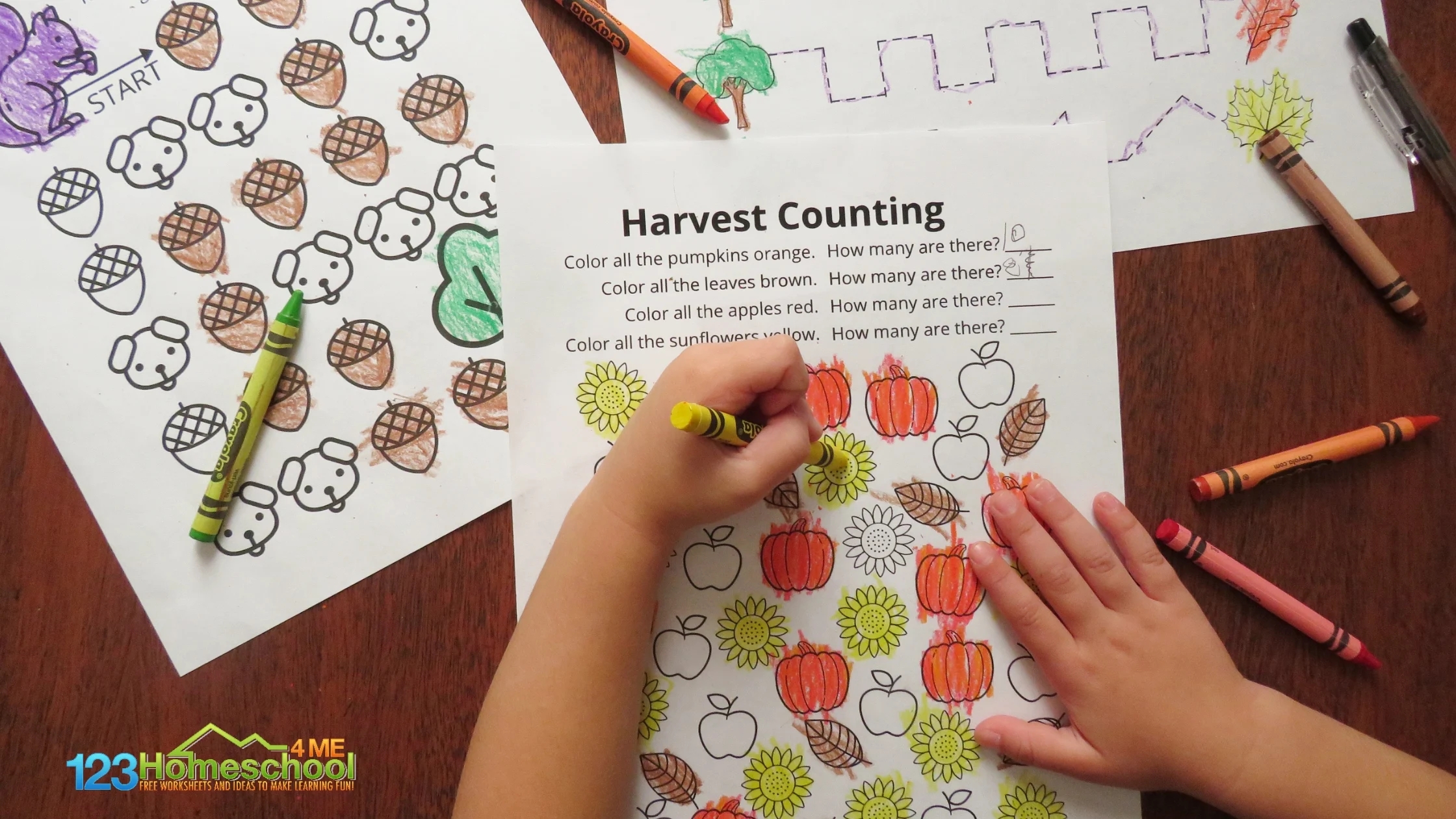 Harvest Worksheets For Preschool