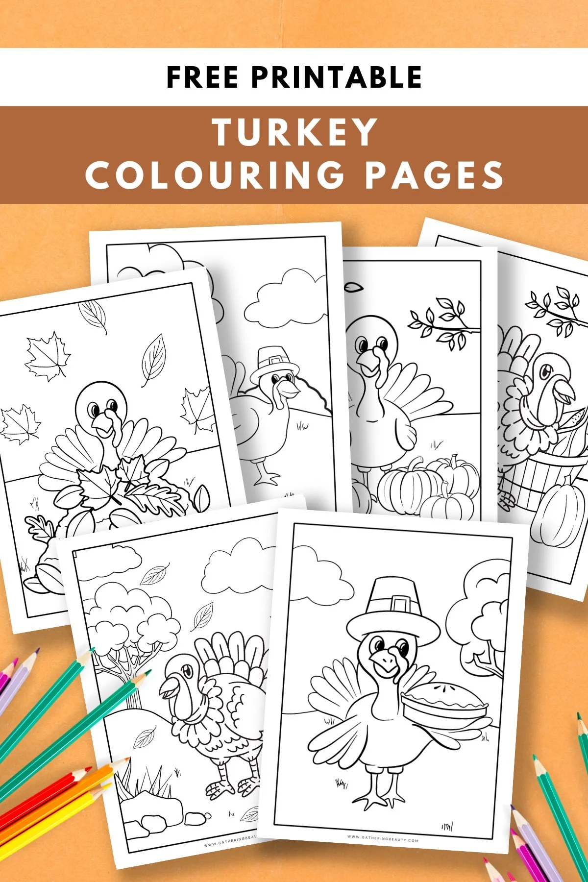 Preschool Turkey Pictures To Color