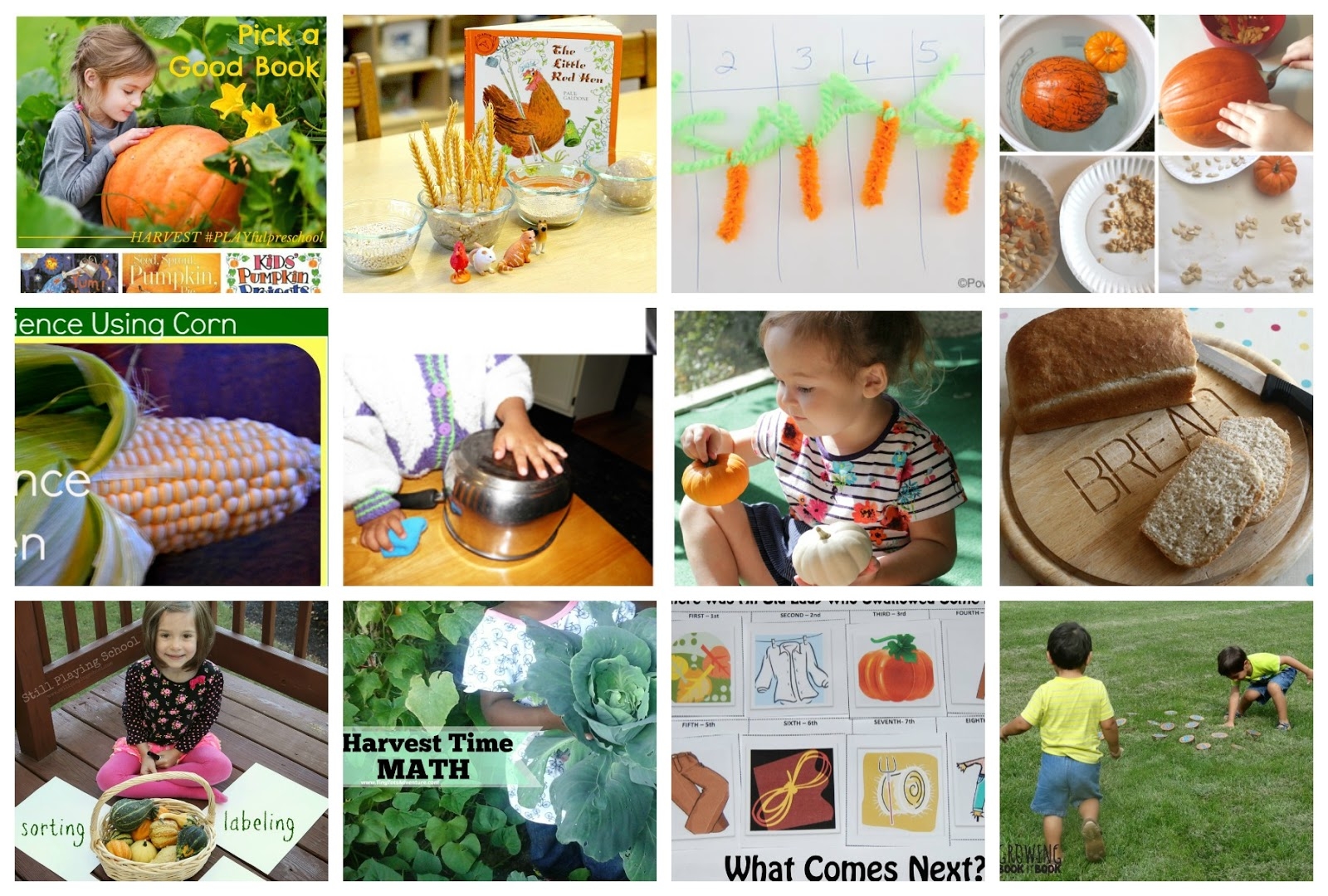 Harvest Preschool Activities A Social Studies Lesson