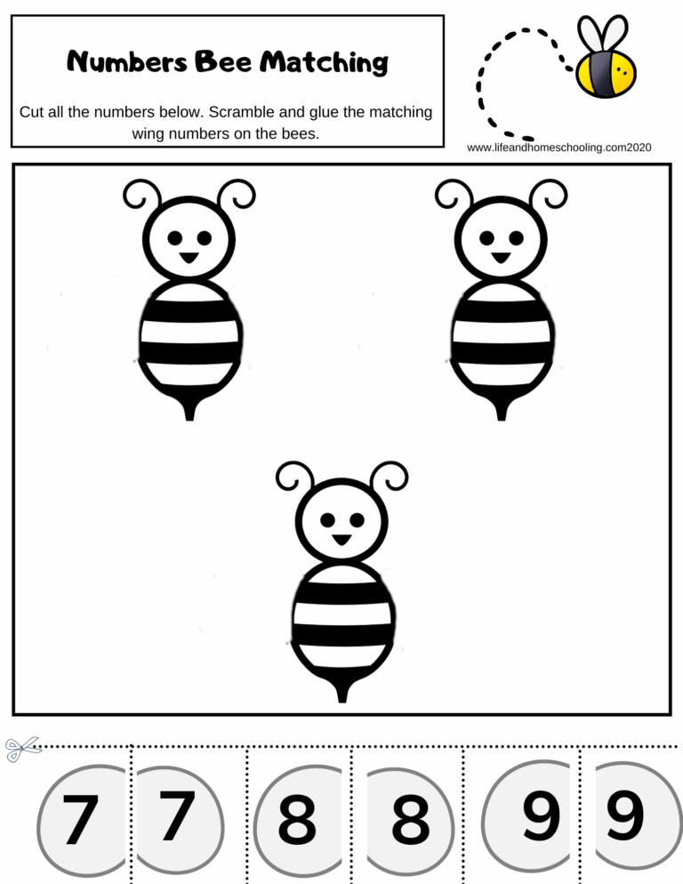 Preschool Number Matching Activity Worksheets Made By Teachers